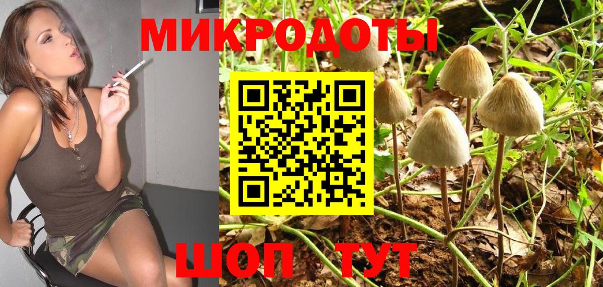 Галлюциногенные грибы Cubensis Клинцы