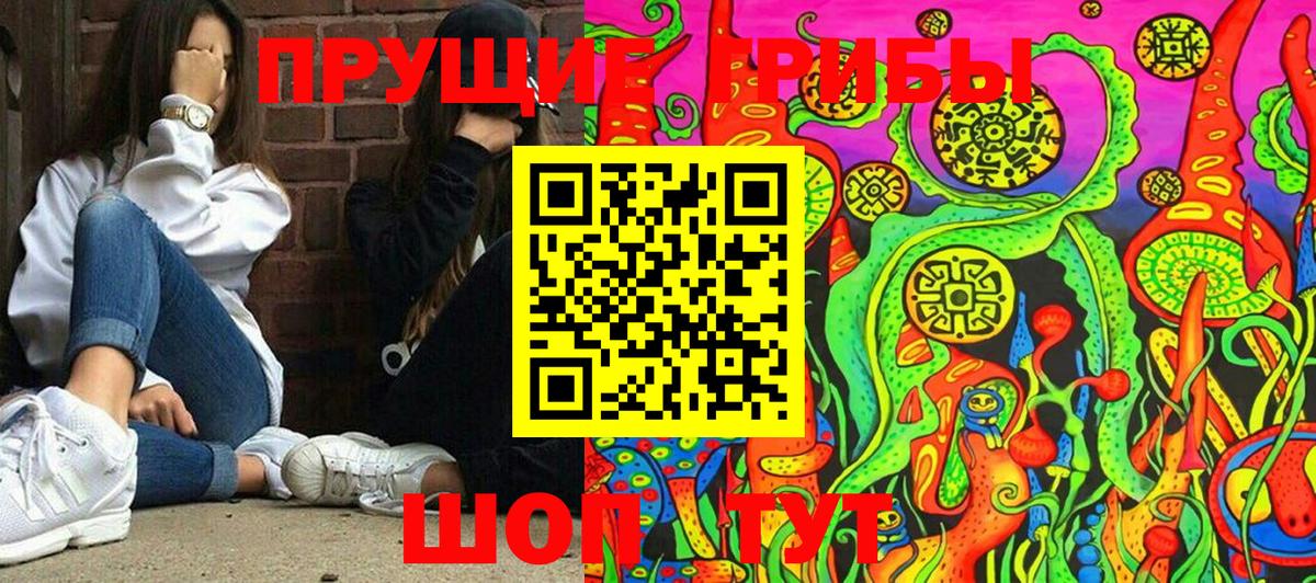 даркнет сайт  Галлюциногенные грибы MAGIC MUSHROOMS  Псилоцибиновые грибы мицелий  Вход с VPN  Клинцы 